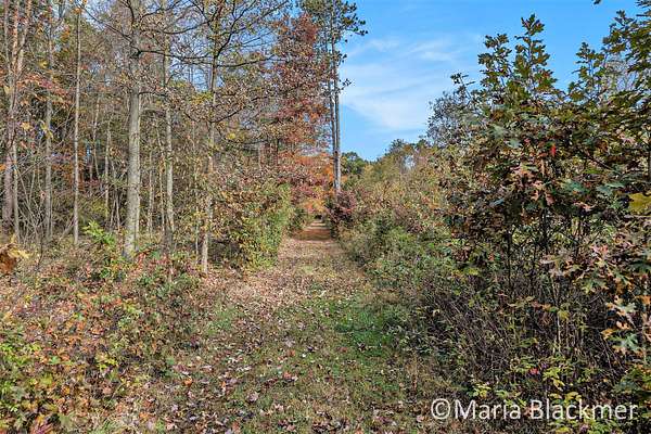 6.9 Acres of Land for Sale in Ionia, Michigan