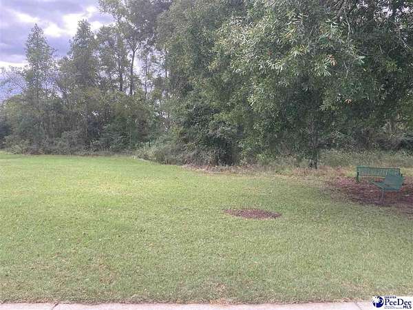 0.15 Acres of Residential Land for Sale in Sellers, South Carolina
