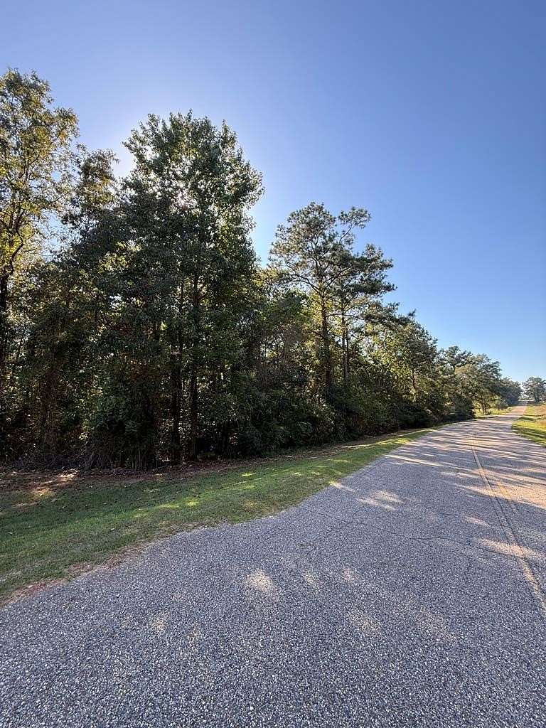 33 Acres of Recreational Land for Sale in Jack, Alabama