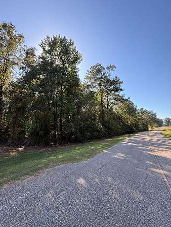 33 Acres of Recreational Land for Sale in Jack, Alabama