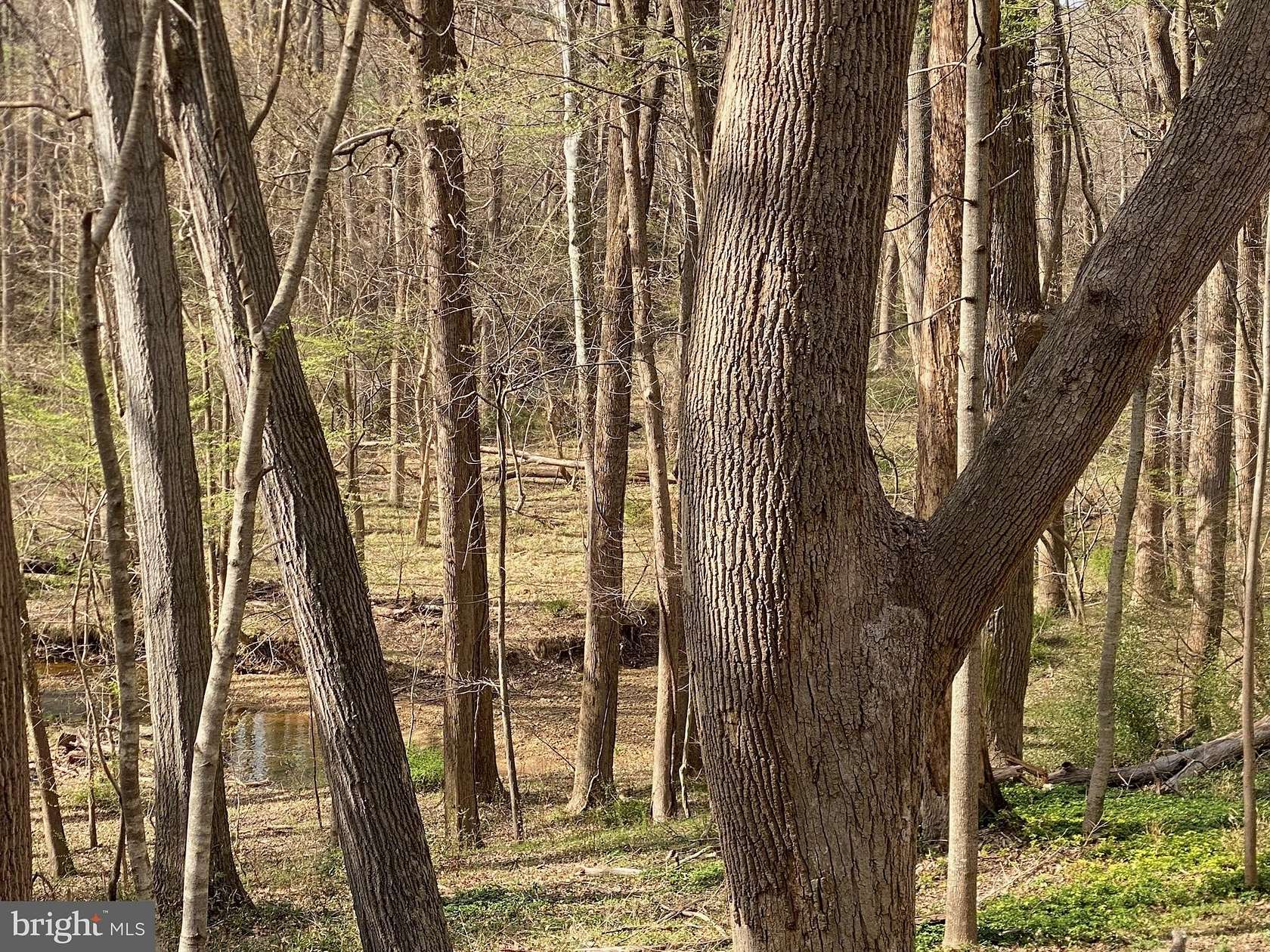 3.72 Acres of Residential Land for Sale in Potomac, Maryland