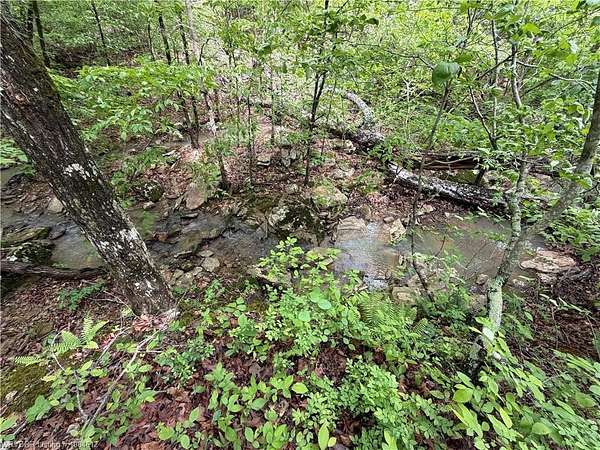 57 Acres of Recreational Land for Sale in Bunch, Oklahoma