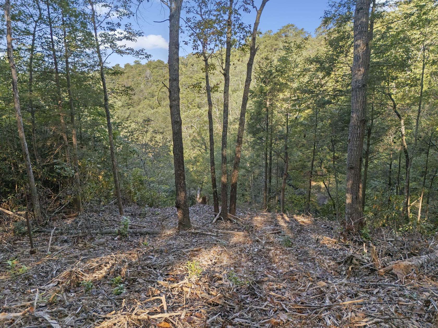 1 Acre of Land for Sale in Zoe, Kentucky