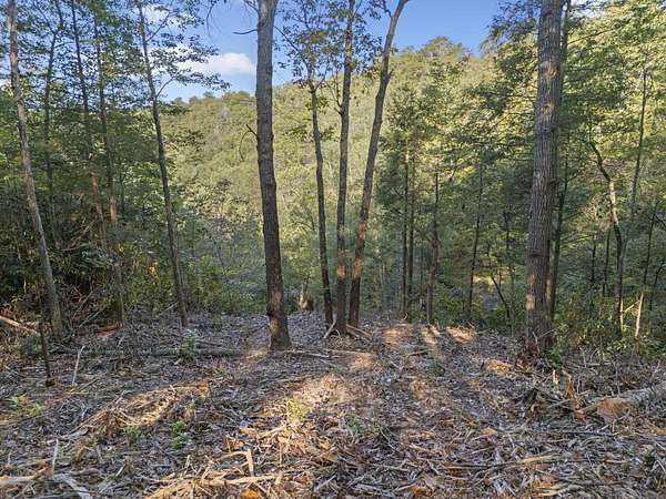 1 Acre of Land for Sale in Zoe, Kentucky