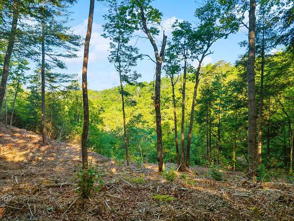 1 Acre of Land for Sale in Zoe, Kentucky