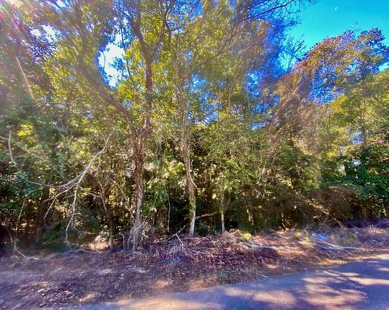 0.48 Acres of Residential Land for Sale in Dothan, Alabama