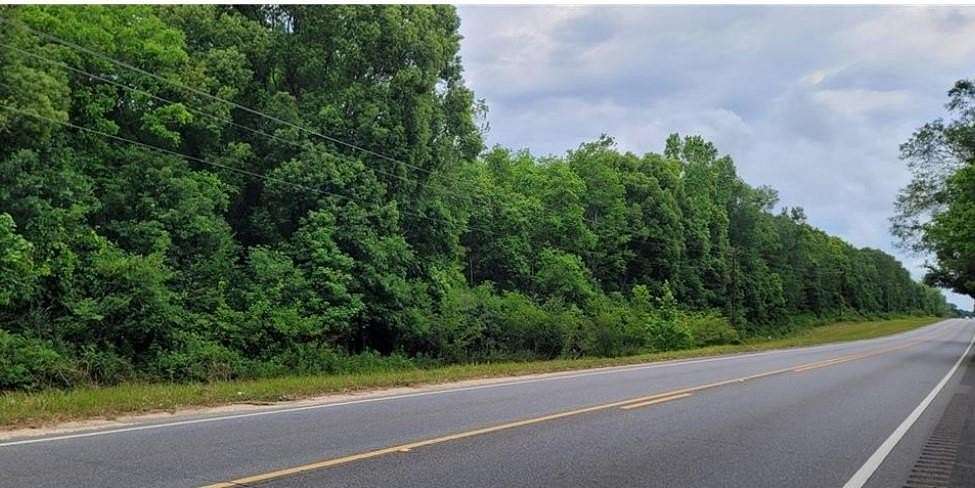 30 Acres of Land for Sale in Grand Bay, Alabama
