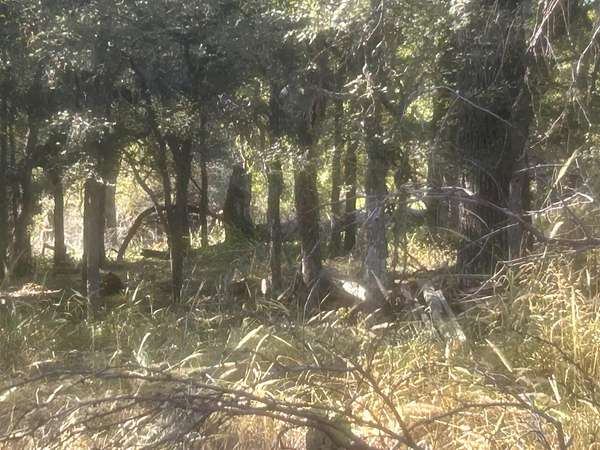 70 Acres of Agricultural Land for Sale in Llano, Texas