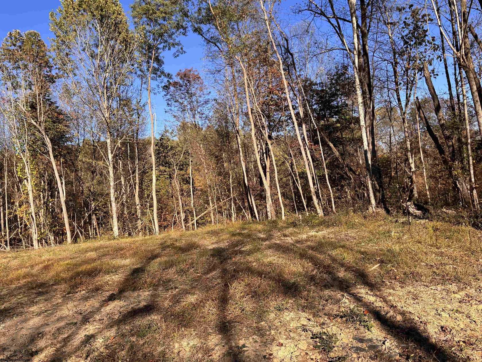1.3 Acres of Residential Land for Sale in Junior, West Virginia