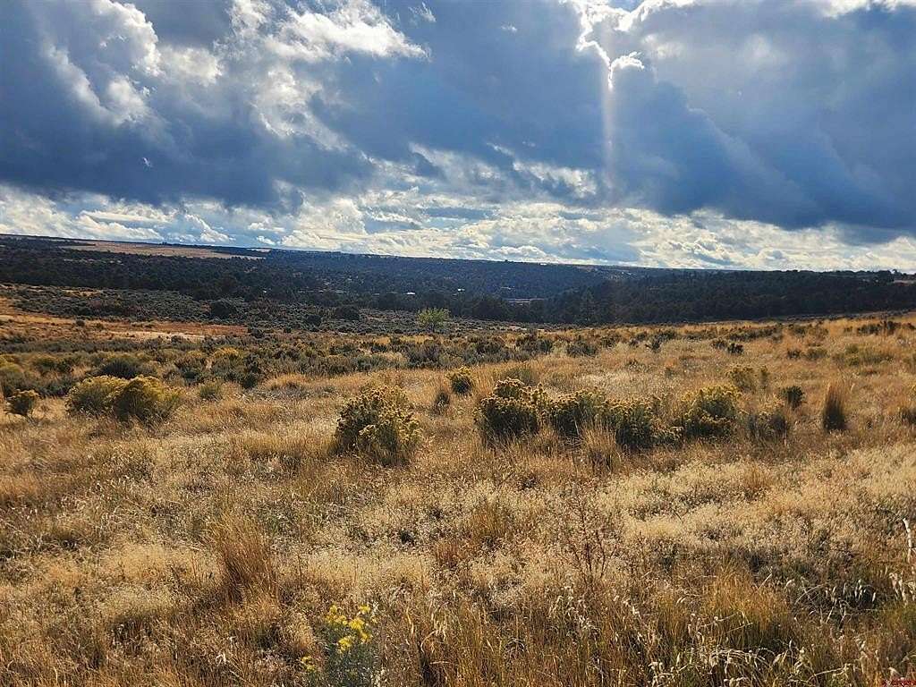 35 Acres of Recreational Land for Sale in Pleasant View, Colorado