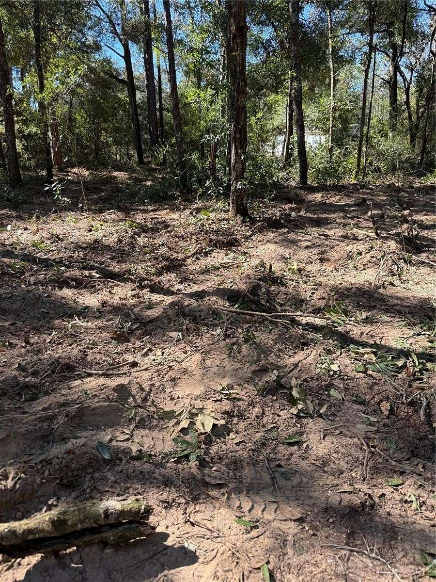 1.2 Acres of Residential Land for Sale in Brooksville, Florida