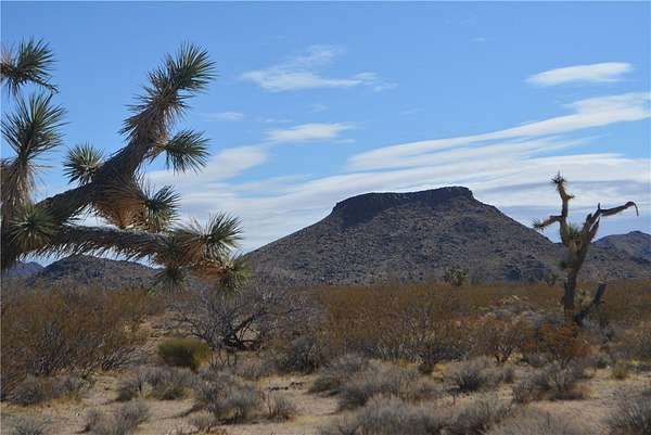 1 Acre of Land for Sale in Yucca, Arizona