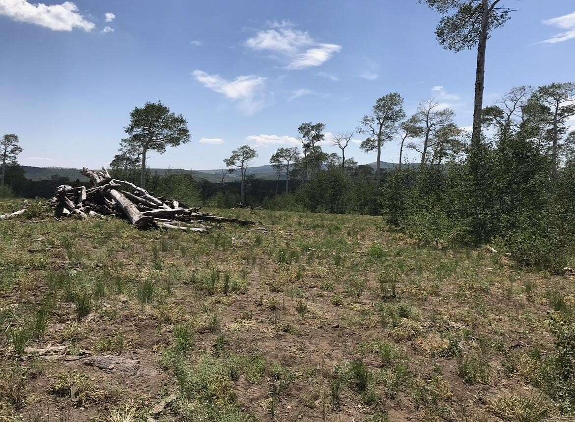 20 Acres of Recreational Land for Sale in Cedar City, Utah