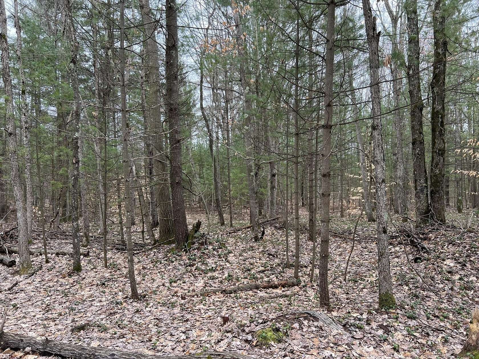 10 Acres of Land for Sale in Free Soil, Michigan