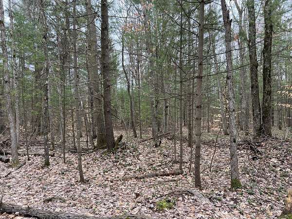 10 Acres of Land for Sale in Free Soil, Michigan