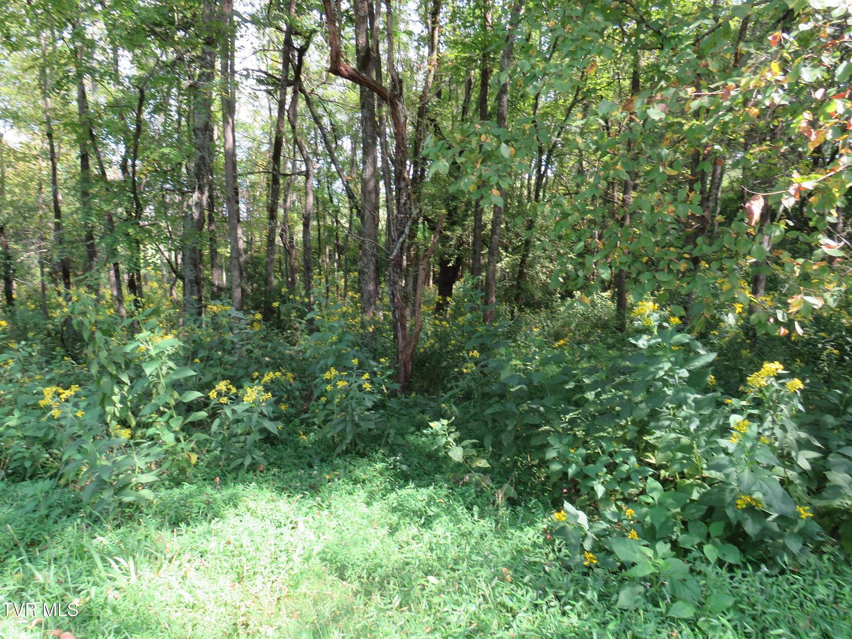 Residential Land for Sale in Rogersville, Tennessee