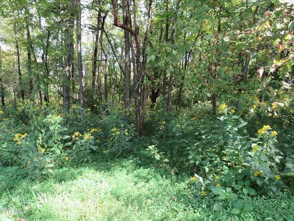 Residential Land for Sale in Rogersville, Tennessee