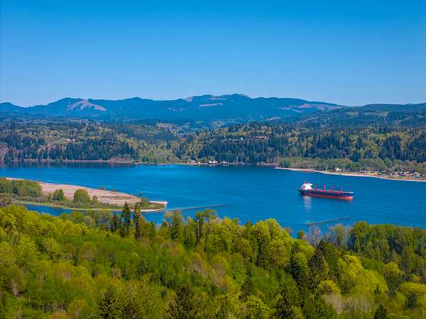 67.6 Acres of Land for Sale in Clatskanie, Oregon