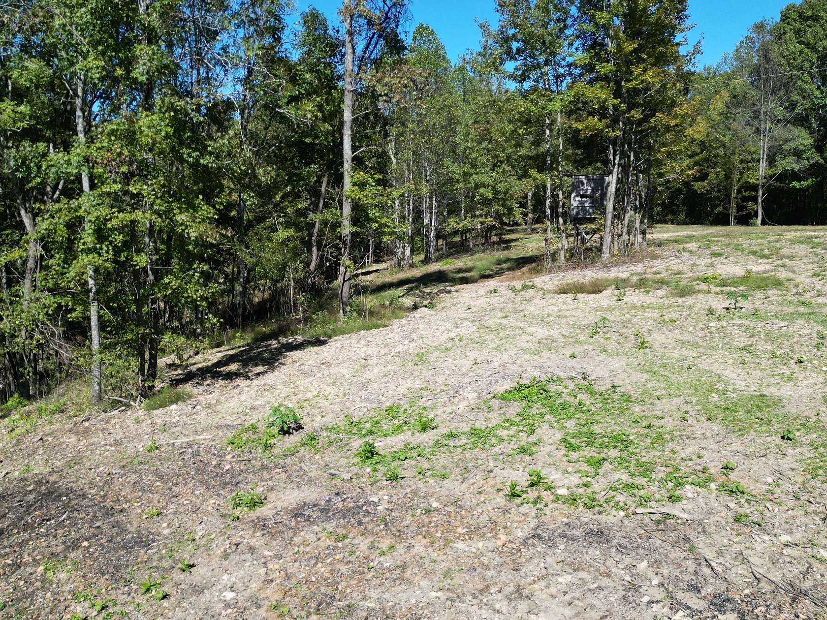 3 Acres of Residential Land for Sale in Pulaski, Tennessee