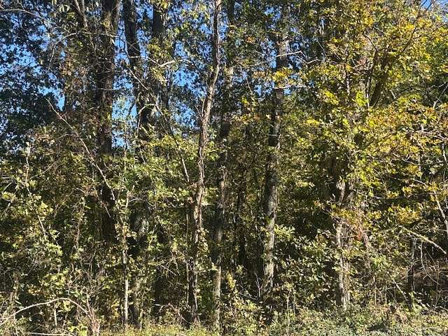 53.2 Acres of Recreational Land for Sale in Pulaski, Tennessee