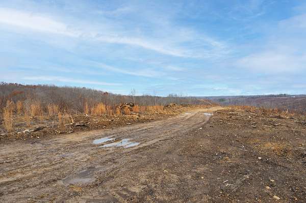 44.8 Acres of Agricultural Land for Sale in Hohenwald, Tennessee