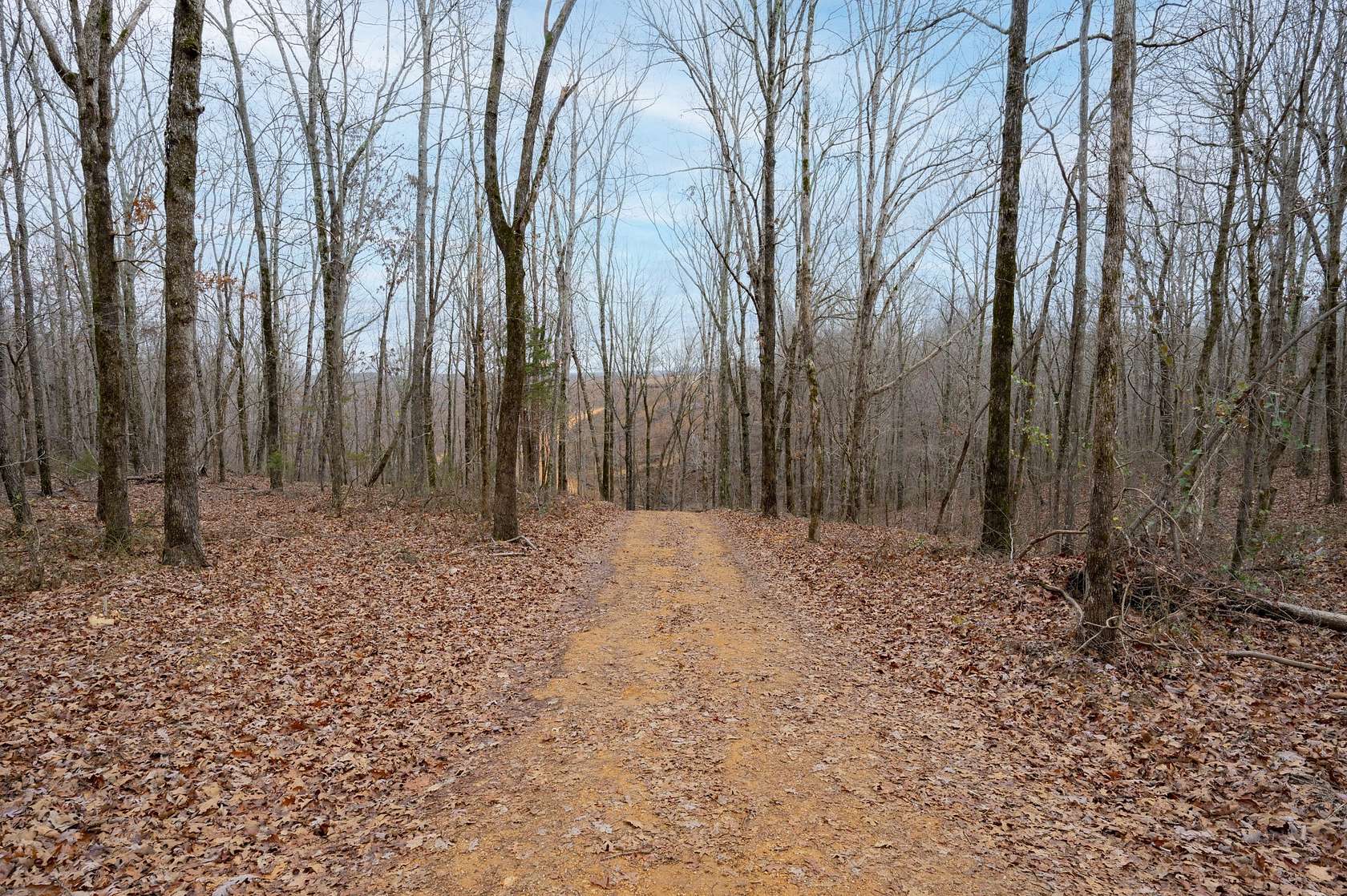 5 Acres of Residential Land for Sale in Hohenwald, Tennessee