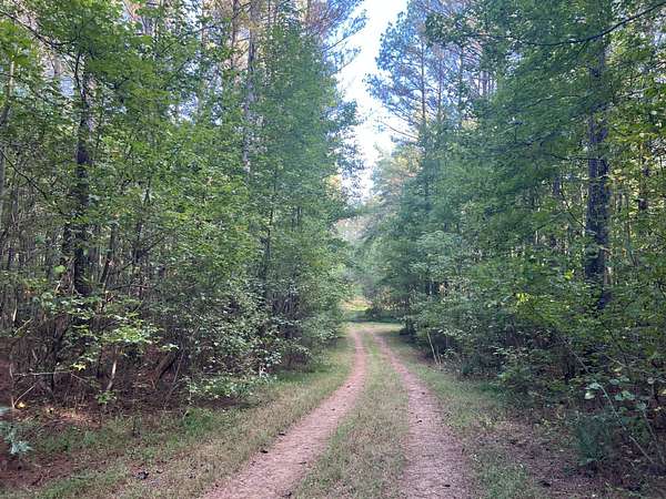 64.9 Acres of Recreational Land for Sale in Lawrenceburg, Tennessee
