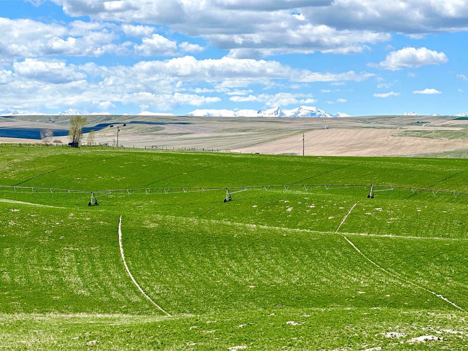 321 Acres of Agricultural Land for Sale in Manhattan, Montana