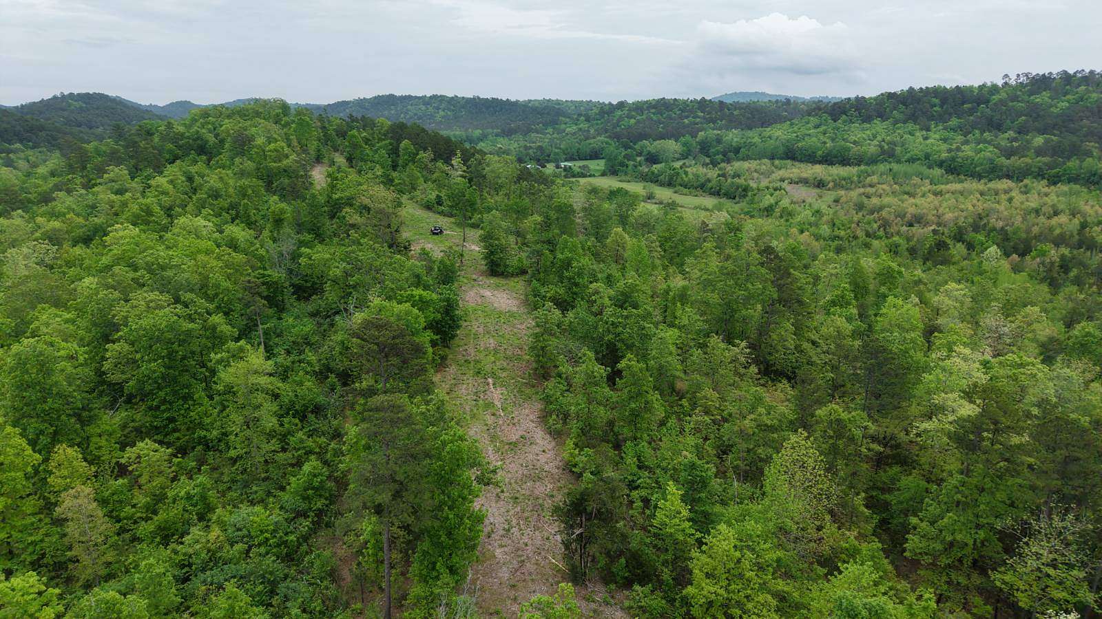 10 Acres of Residential Land for Sale in Oden, Arkansas