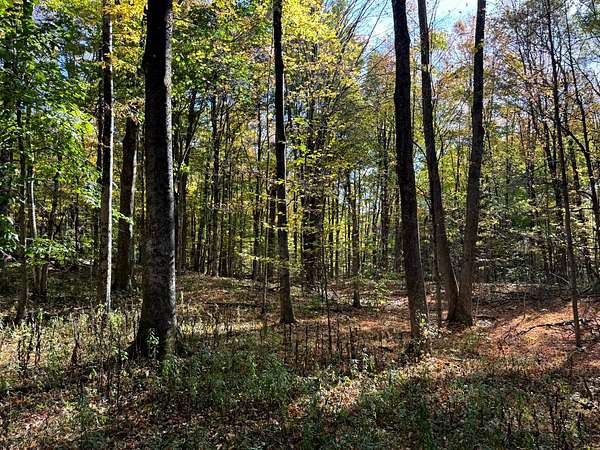 2 Acres of Residential Land for Sale in Orwell, New York