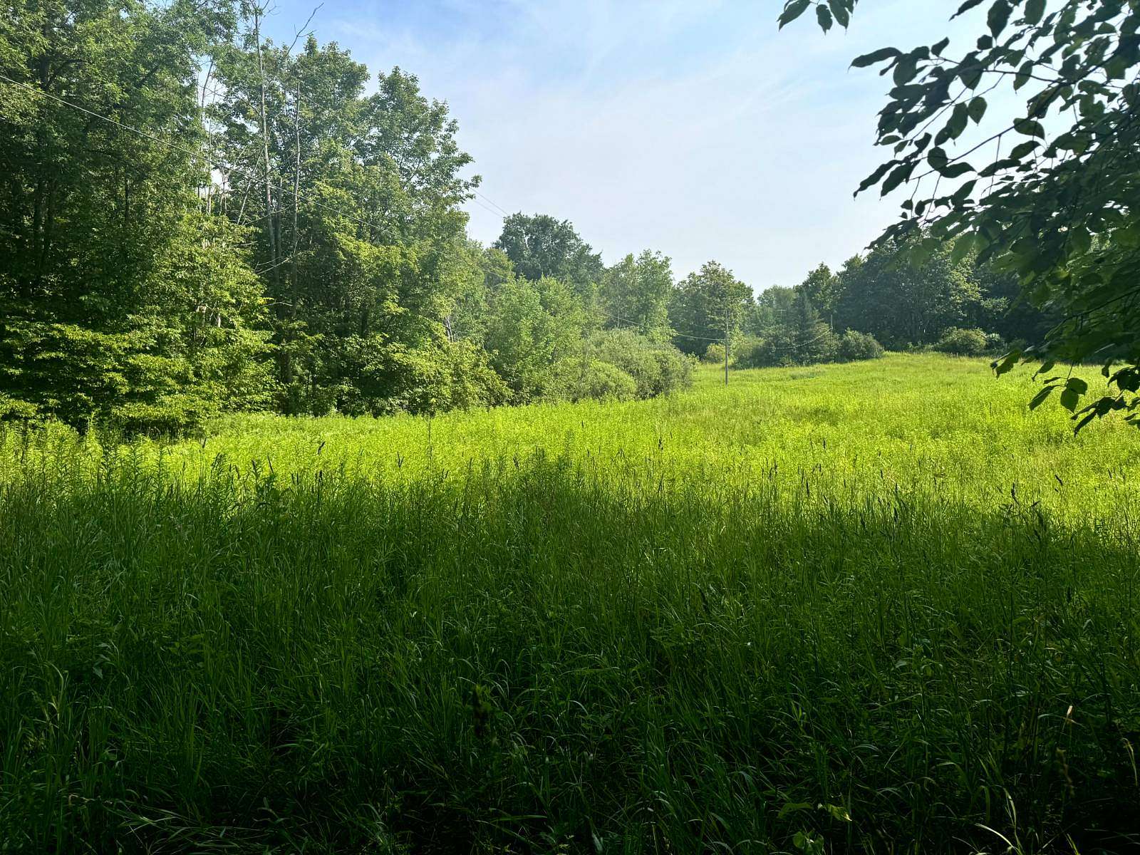 10 Acres of Residential Land for Sale in Orwell, New York