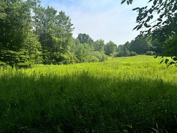 10 Acres of Residential Land for Sale in Orwell, New York