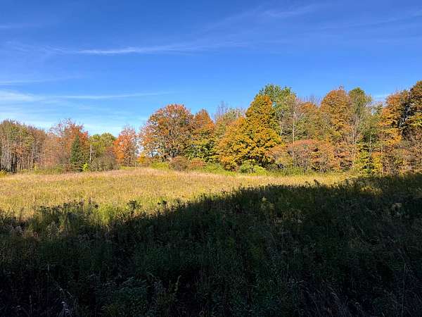 10 Acres of Recreational Land for Sale in Orwell, New York