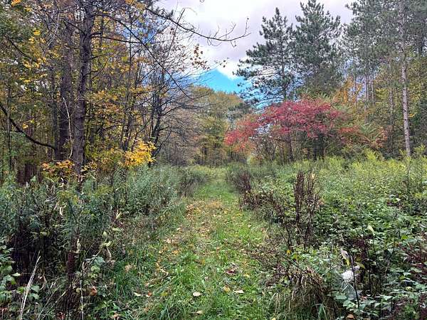 20 Acres of Recreational Land for Sale in Orwell, New York