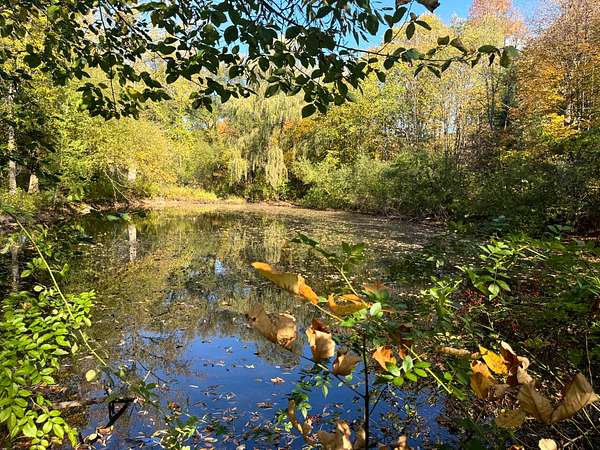 6 Acres of Residential Land for Sale in Orwell, New York