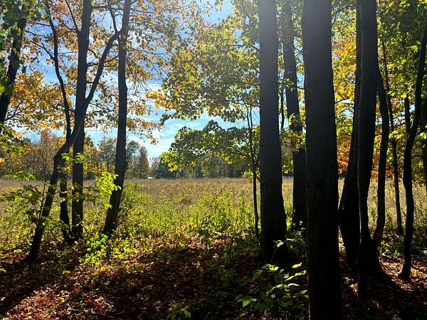 20 Acres of Recreational Land for Sale in Orwell, New York
