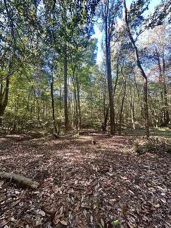 44.2 Acres of Recreational Land for Sale in Lapine, Alabama