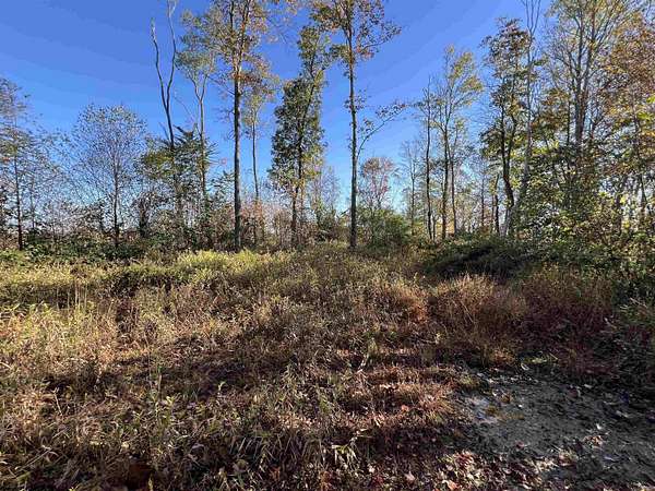 16.7 Acres of Recreational Land for Sale in Parsons, West Virginia
