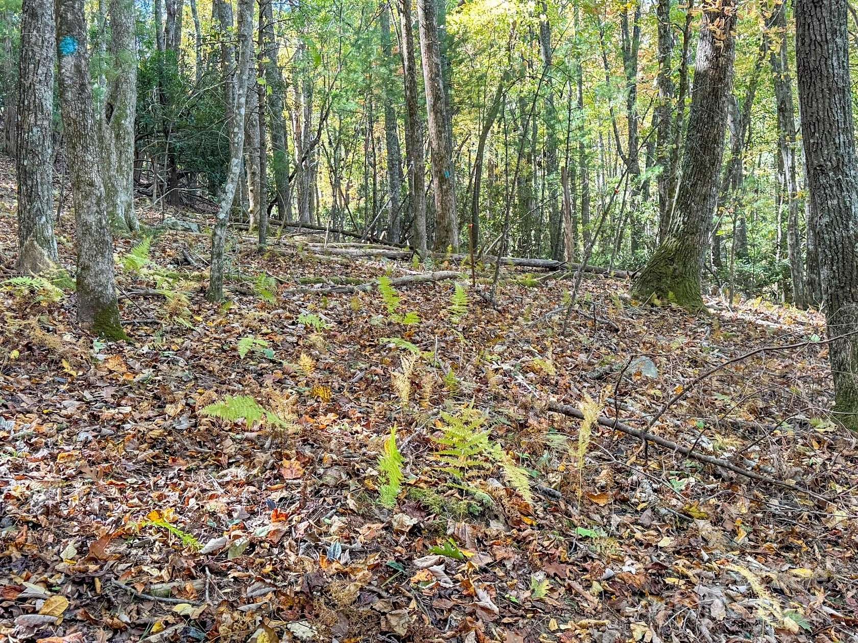 2 Acres of Residential Land for Sale in Arden, North Carolina