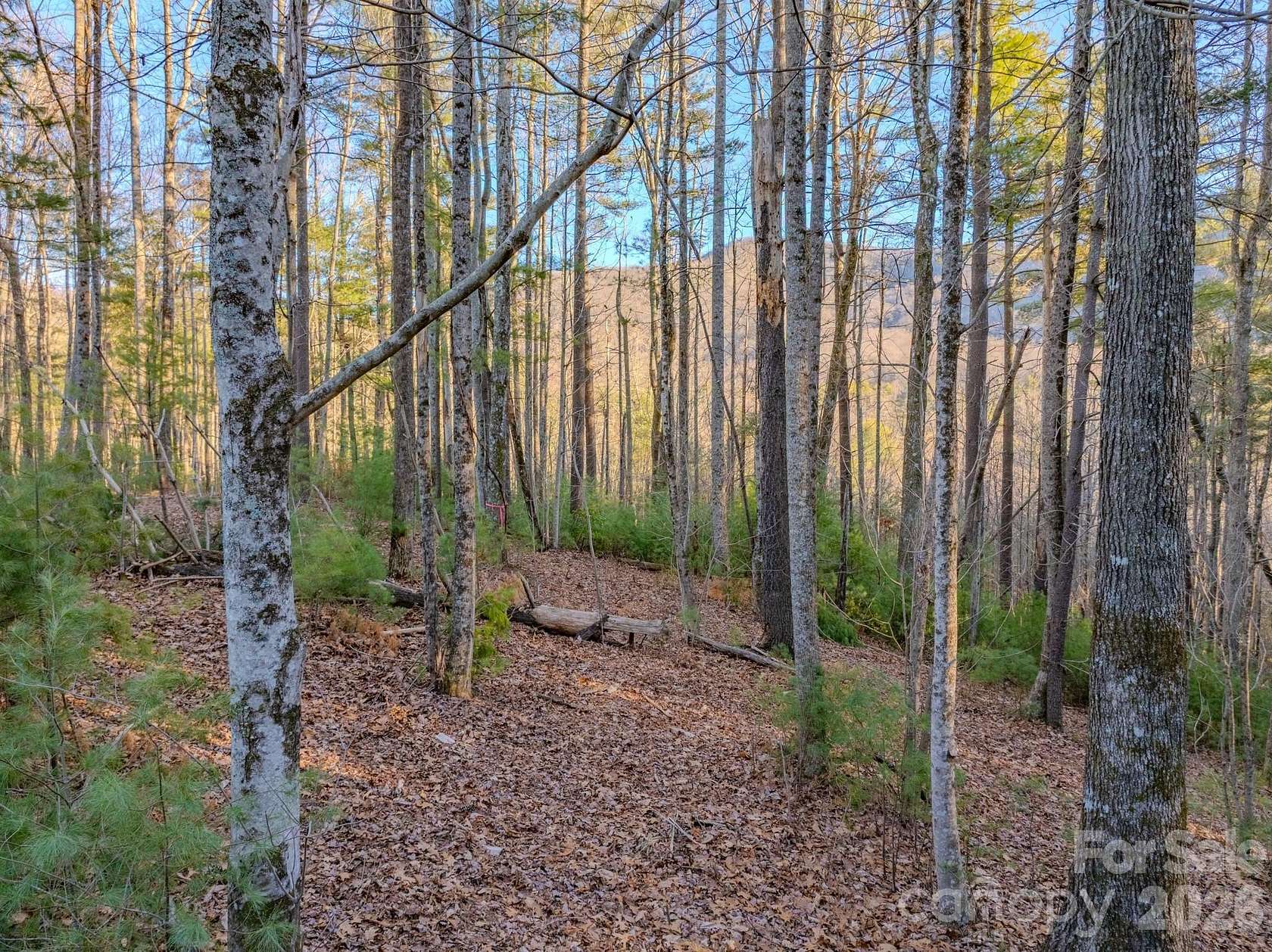 3.52 Acres of Residential Land for Sale in Hendersonville, North Carolina