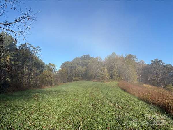 14 Acres of Land for Sale in Leicester, North Carolina