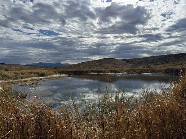 720 Acres of Agricultural Land for Sale in Hotchkiss, Colorado