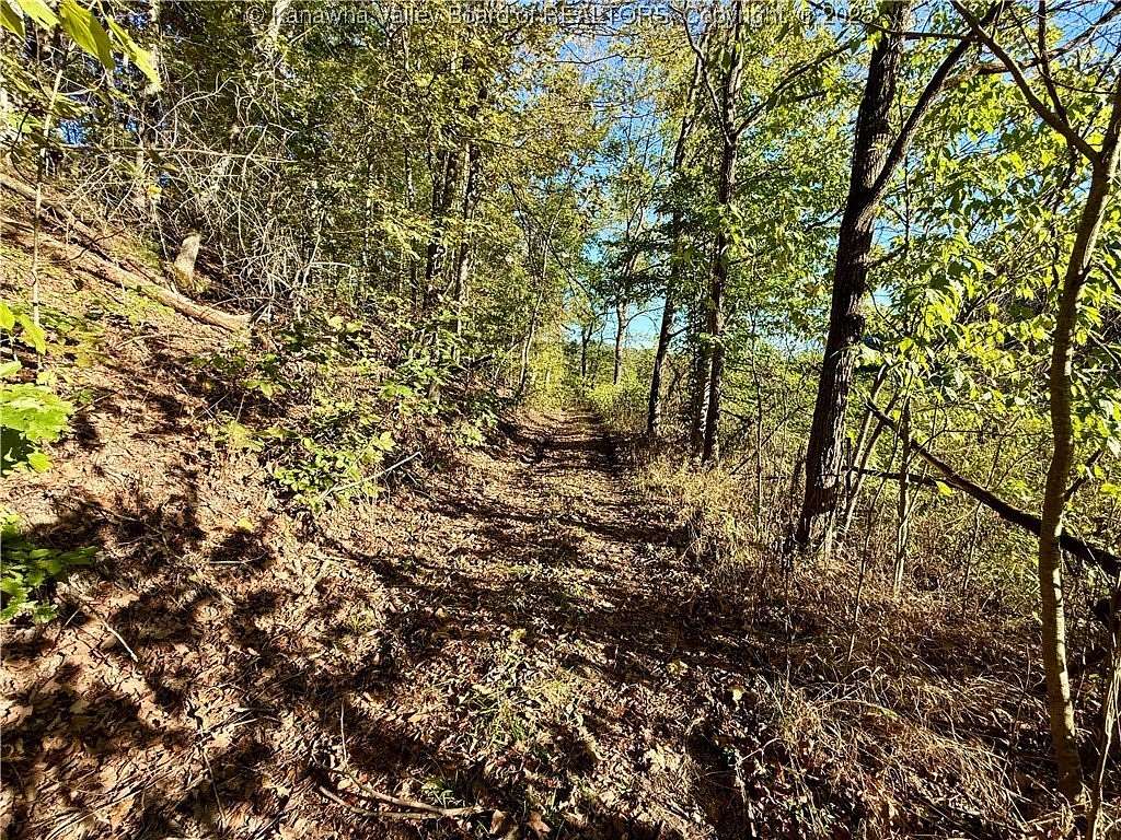 32.3 Acres of Recreational Land for Sale in Poca, West Virginia