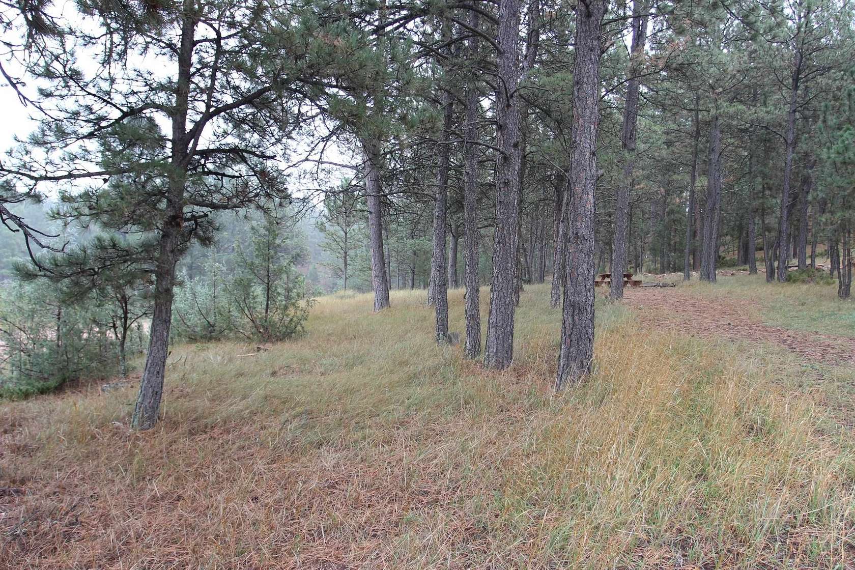 10.7 Acres of Recreational Land for Sale in Hot Springs, South Dakota