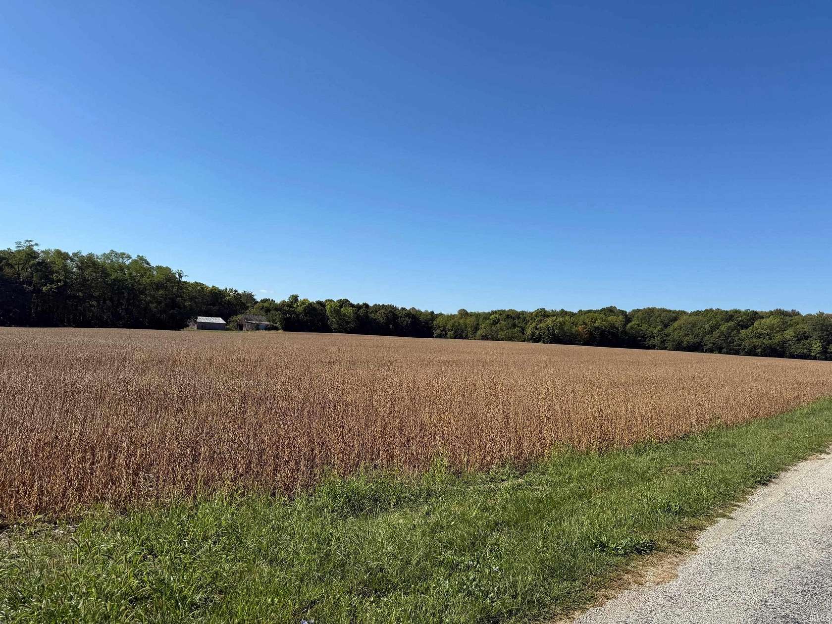 18.5 Acres of Agricultural Land for Auction in Huntington, Indiana