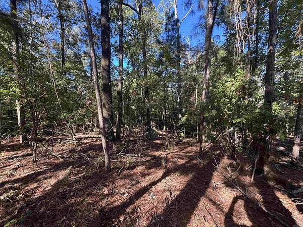 0.55 Acres of Residential Land for Sale in Sheridan, Arkansas