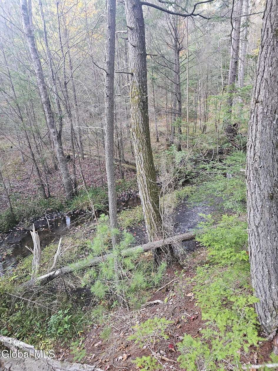 25 Acres of Recreational Land for Sale in Edinburg, New York