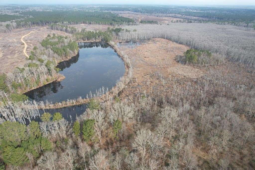 40 Acres of Recreational Land for Sale in Raleigh, Mississippi