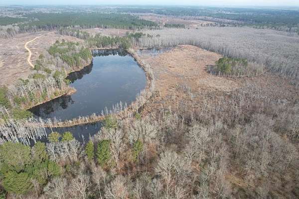40 Acres of Recreational Land for Sale in Raleigh, Mississippi
