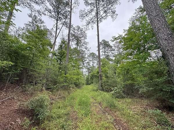 38 Acres of Recreational Land for Sale in Roxie, Mississippi